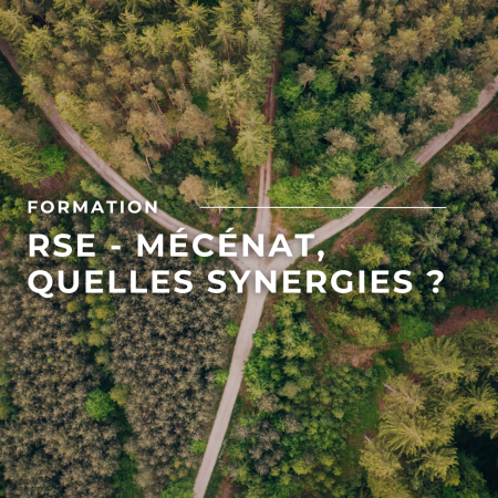 Visuels newsletter 2025 (3)